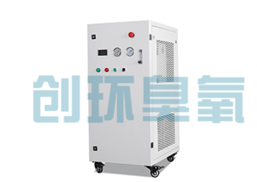 文山石斑鱼养殖水质调控完整指南:臭氧发生器配置与操作步骤