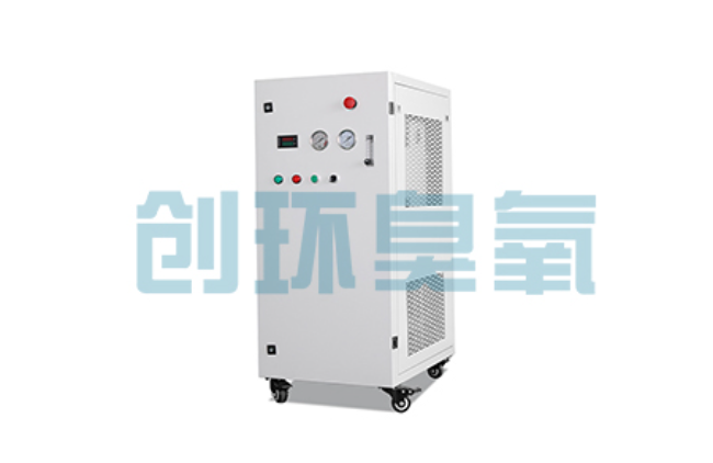 文山比传统换水更高效?臭氧发生器在石斑鱼养殖中的水质净化原理解析